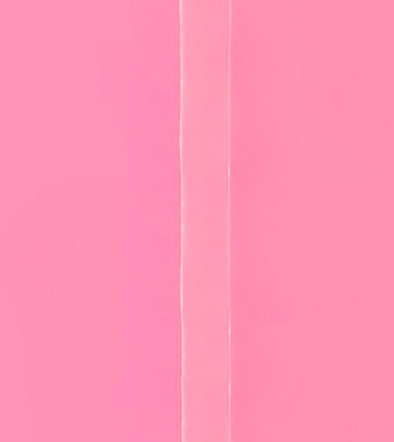 RT-103 Бретель силиконовая 14 мм металлический крючок