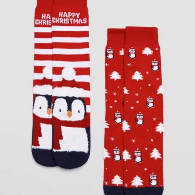 22173 Носки мужские 2 пары в упаковке