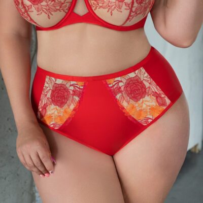 SWEETHEART Briefshighwaist Трусы высокие