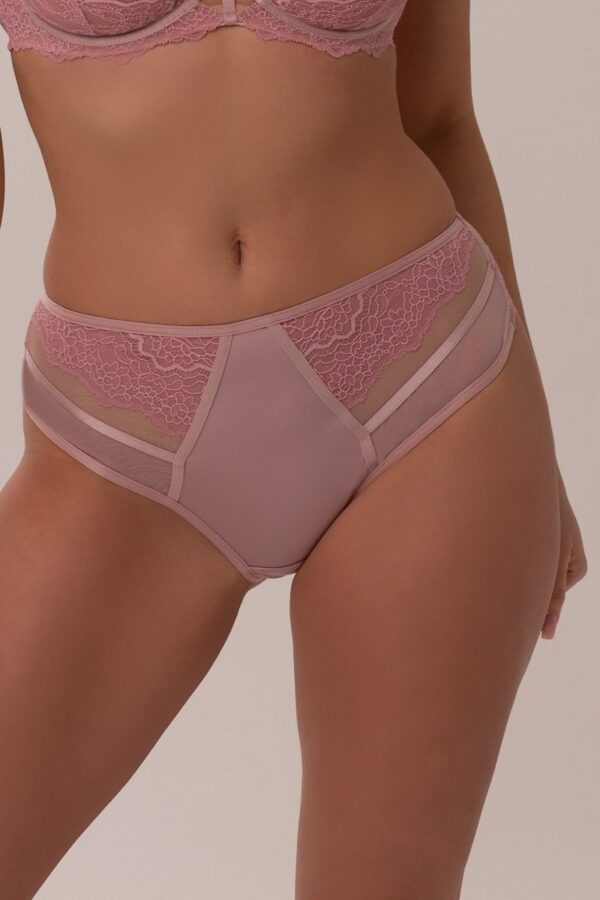 NINA DUSTY ROSE Трусы слипы