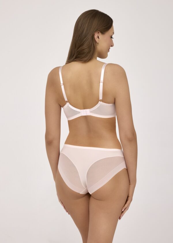 2231 трусы (пудра)