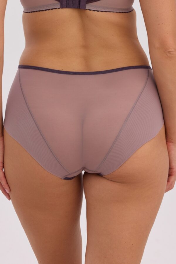 1373 Bibiana трусы