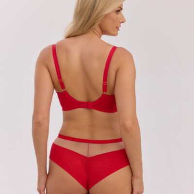 1338 Carson трусы бразильянки