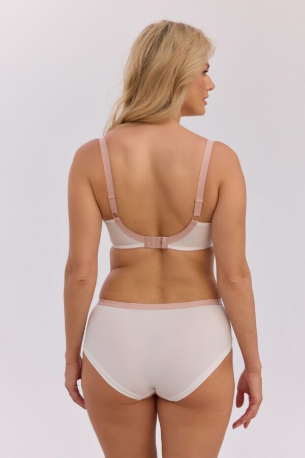 1352 Carolina трусы